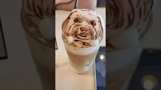 Thumbnail: When your coffee is too cute to drink (almost)