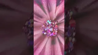 Thumbnail: Blooms #short #resincrafts #shortvideo