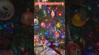 Thumbnail: Merry Christmas, and Happy Holidays to all! 🌎🎄🎅❄️✨️