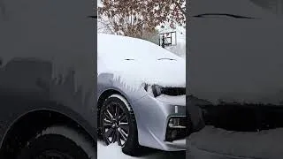 Thumbnail: Snowy winter day in the Midwest 📷❄️🌨☃️