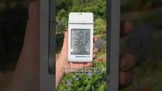Thumbnail: How I Prepare the Garden for a Heatwave 🥵 #gardening #garden