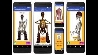 Thumbnail: Learn Anatomy Flashcard App