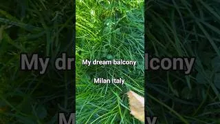 Thumbnail: my dream balcony #plantlover #gardening #crazy #balconygarden #unique