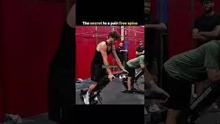 Thumbnail: build your own back brace.