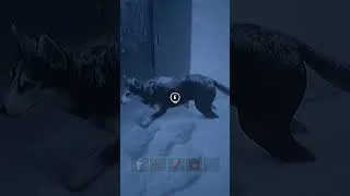 Thumbnail: dog prank gone wrong
