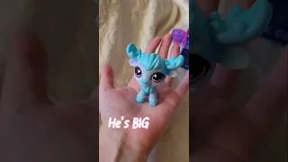 Thumbnail: opening the BEST Littlest Pet Shop from wave 6! #lps #unboxing #shorts