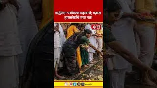 Thumbnail: Madras High Court | श्रद्धेपेक्षा पर्यावरण महत्त्वाचे; मद्रास हायकोर्टाचे स्पष्ट मत!