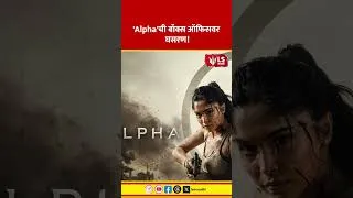 Thumbnail: Alpha Movie | 'Alpha'ची बॉक्स ऑफिसवर घसरण!