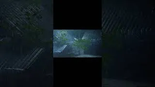 Thumbnail: thunderstorm sounds for sleeping