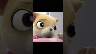 Thumbnail: Avocado Explains What a Surprise Birthday is #lucasthespider #friends #funny