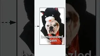 Thumbnail: When animals have jobs, they make the most exemplary employees.
