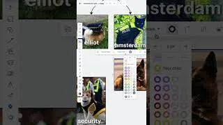 Thumbnail: Sneak peek — animals with jobs