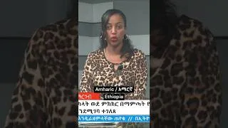 Thumbnail: What Zulu, Amharic and Swahili Languages Sound Like