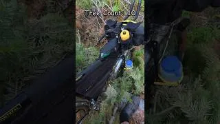Thumbnail: SO MANY TREES! Teanaway River Link Up - #bikepacking #gravelbike #biketour #cycling #mtb
