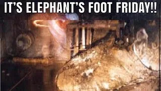 Thumbnail: elephant's foot friday
