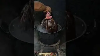 Thumbnail: Filipino Next Level Chicken BBQ in the Philippines! 🇵🇭