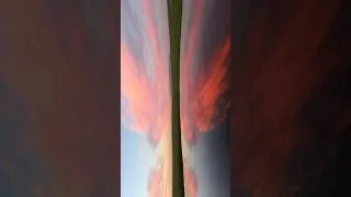 Thumbnail: 2 Worlds