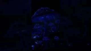 Thumbnail: 432Hz Deep Sleep Music 🌙