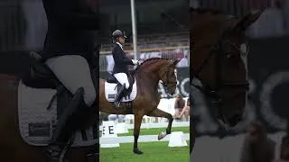 Thumbnail: Leonardo Franco Stud - Best Breeder at FIPSL'24