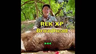 Thumbnail: Hog Hunting Success: Epic REK Broadhead Performance! #shorts