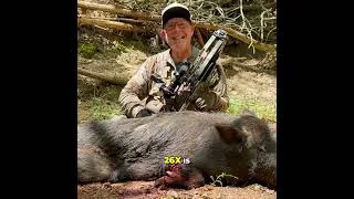 Thumbnail: Hog Hunt Success: Annihilator Broadhead & Ravin Crossbow #shorts
