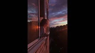 Thumbnail: Night- Kevin Lentz #shorts #pop