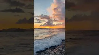 Thumbnail: Aloha vibes 🌴 Wild beach from Felicite Island #seychelles