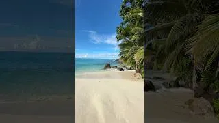 Thumbnail: REC 📸🏝️ North Island, #Seychelles