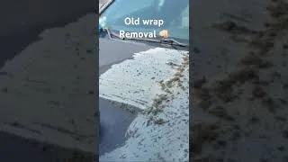 Thumbnail: This saved the hood. Nothing else worked. 😳🔥 #detailing #cars
