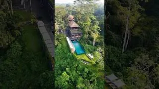 Thumbnail: Imagine swimming in the middle of the jungle ✨ #hotel #bali #travel