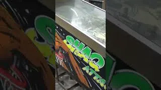 Thumbnail: Filthy Pinball Machine, and WHAT ANIMAL WAS THAT????