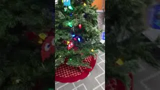 Thumbnail: Christmas In Rock Hill, SC At Joe's Classic Video Games! - 1 video A Day All Month!