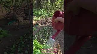 Thumbnail: The life of a single mother is actually very peaceful