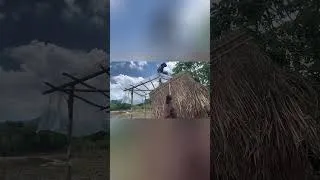 Thumbnail: My wife and I's journey in building a house. #lytulong #singlemom