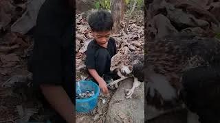 Thumbnail: eagle