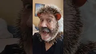 Thumbnail: metamorphosis