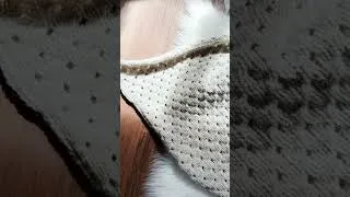 Thumbnail: A preview of Blanket 02’s staggered eyelets—pattern + full tutorial tomorrow morning!
