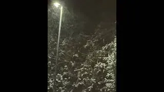 Thumbnail: A snowy moment in Yorkshire.
