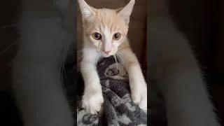 Thumbnail: He was falling