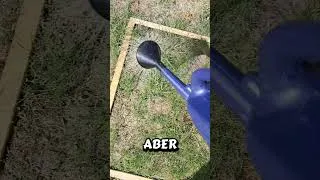 Thumbnail: Wann wird der Rasen wieder grün - Tag 19 #challenge #garten #rasenpflege #gartentipps #gartentricks