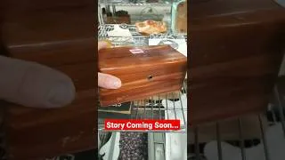 Thumbnail: Lane Hope Chest...  #furniturerestoration  #howtorestore #restoration #vintage #youtubeshorts