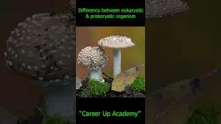 Thumbnail: Difference Between Prokaryotic & Eukaryotic Cell  #12thboards #12thbiology  #biologyshorts