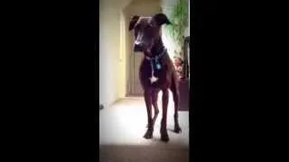 Thumbnail: Zoe sticks her landing