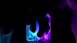 Thumbnail: Beautiful Flames!