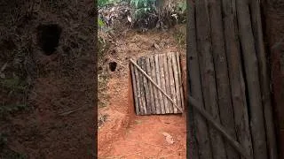 Thumbnail: underground shelter #shelter #camping #youtubeshorts