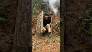 Thumbnail: shelter and fireplace #camping #survival #youtubeshorts #shelter