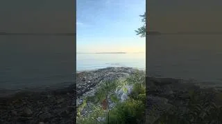 Thumbnail: Waking up to the calls of 12 loons while kayaking camping on Thief Island in Muscongus Bay.