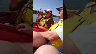 Thumbnail: Ever held a live Maine lobster?