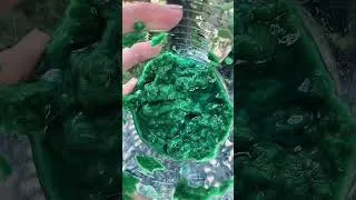 Thumbnail: DIY Seed Bombs #shorts