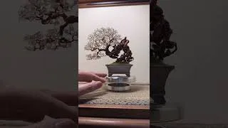 Thumbnail: Copper Wire Crystal Tree DIY | Stunning Handmade Home Decor From Scrap